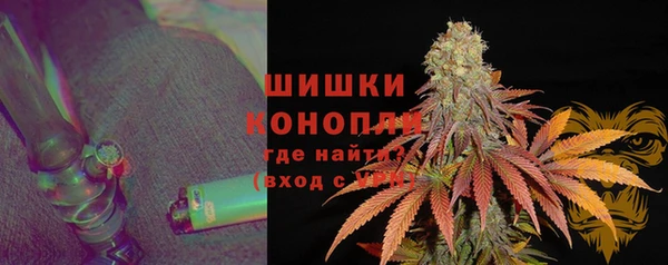 ГАЛЛЮЦИНОГЕННЫЕ ГРИБЫ Алексеевка