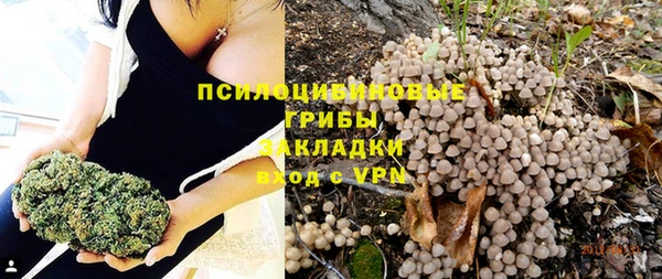 ГАЛЛЮЦИНОГЕННЫЕ ГРИБЫ Алексеевка