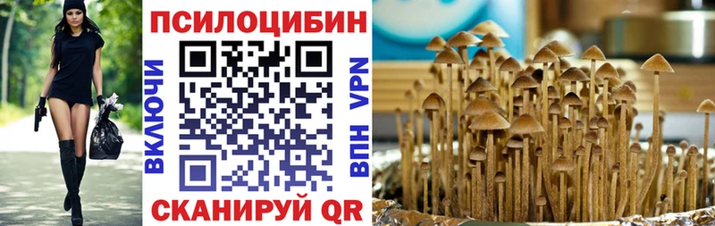 где купить наркоту  Бикин  Галлюциногенные грибы Psilocybine cubensis 